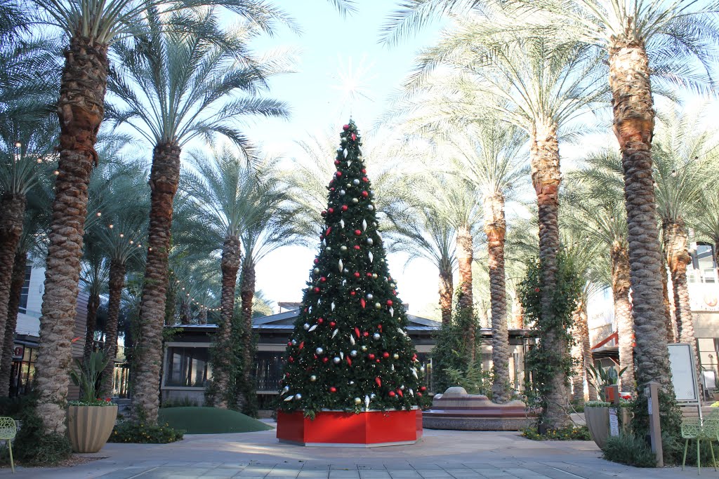 Scottsdale Quarter Christmas tree photo